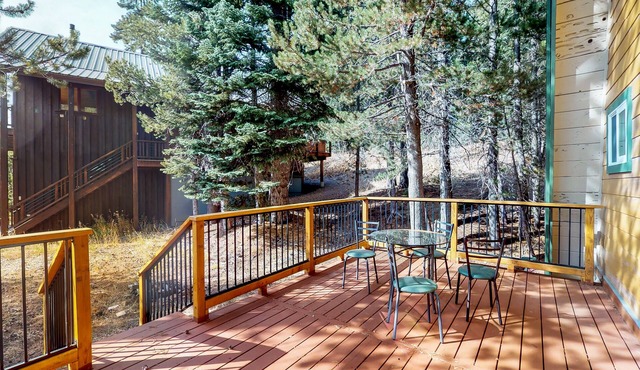 Cozy cabin with fireplace - near skiing, hiking, swimming, & lakes