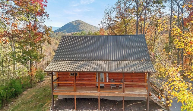 Cozy cabin with great views
