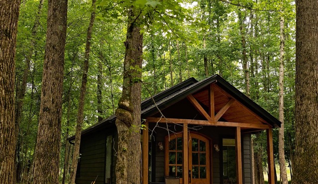 Cozy cabin with hot tub just 15 minutes from the beautiful Current River.