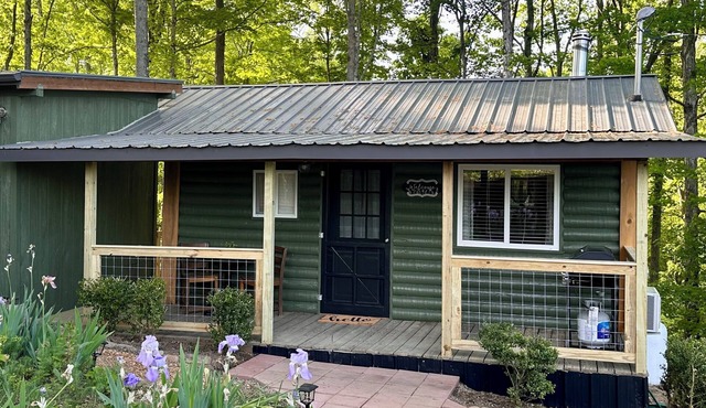 Cozy cabin with hot tub in Sevierville TN!nWelcome to the Little Hideaway!