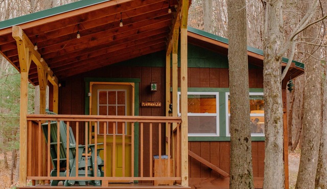 Cozy Cabin with private woods in charming Rock Stream NY.