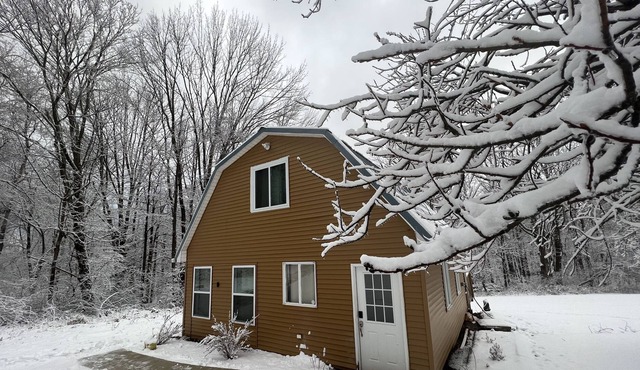 Cozy Cabin with Forest Views