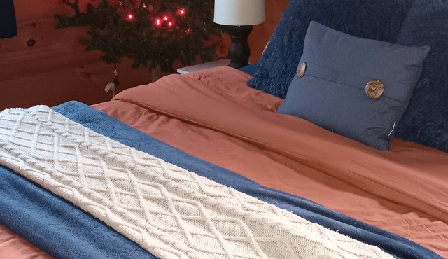 Cozy cabin with views of Lake Erie and colorful sunsets!