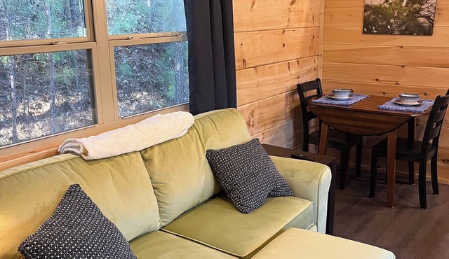 Cozy cabin with WiFi and AC in charming Mill Spring
