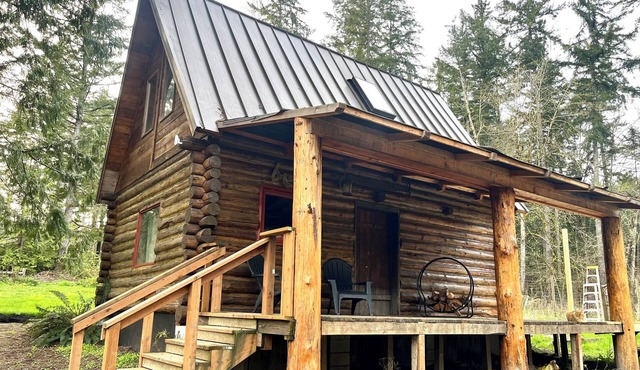 Cozy cabin with WiFi and AC in awesome Olympia