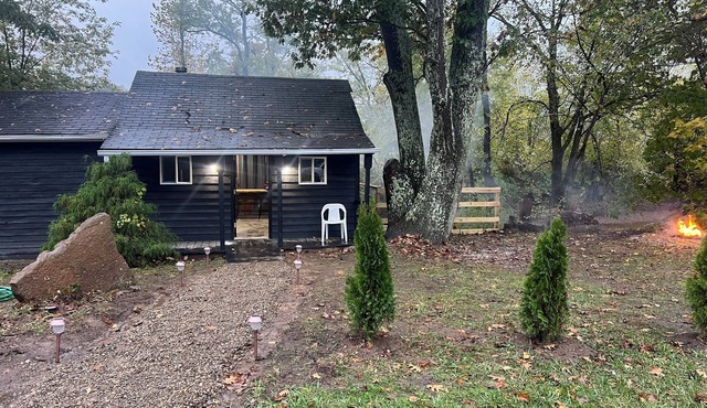 Cozy cabin with WiFi and AC in welcoming Willcreek River