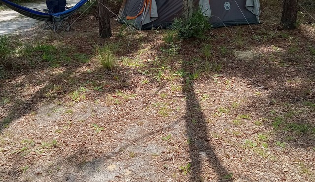 Cozy campground with WiFi in peaceful Chiefland