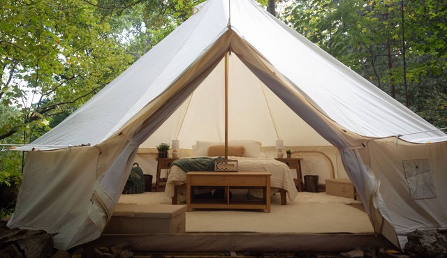 Cozy campsite with creek access!