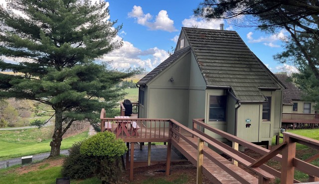 Cozy Canaan Valley Cabin