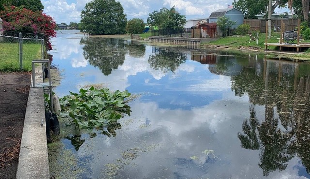 Cozy Canal Cottage waterfront, nature experience. 15 minutes to the beaches.