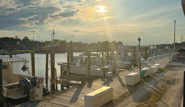 ☀️Cozy Canalside Retreat ⚓️