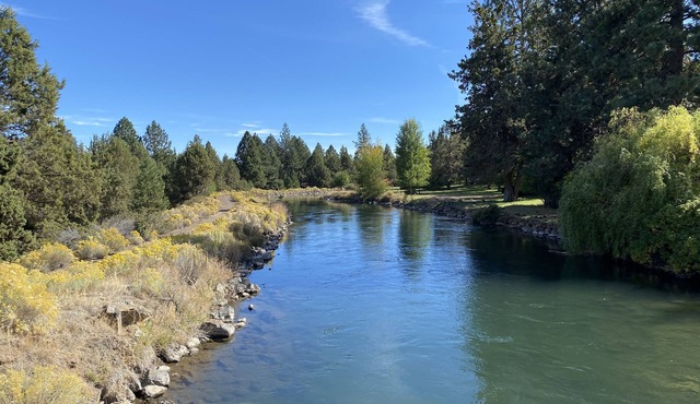 Cozy Canterbury | Dog-friendly oasis in Bend