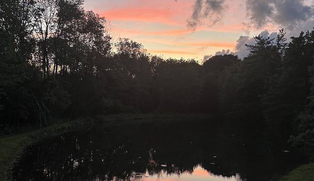 Cozy caravan in Willseyville with authentic sauna in bucolic setting