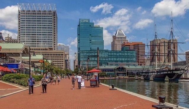 Cozy Caribbean 🏝Island Studio🏝1B/1B Mins to Harbor in Baltimore 🦀