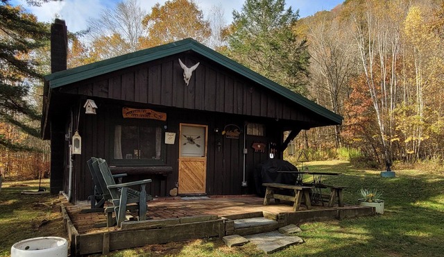 Cozy Catskills Cabin: Your perfect rustic getaway - Pet friendly
