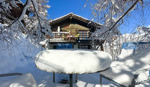 Cozy chalet, Alps view, fireplace & large terrace
