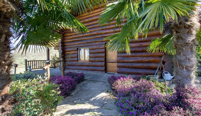 Cozy chalet by a pond in Dussac