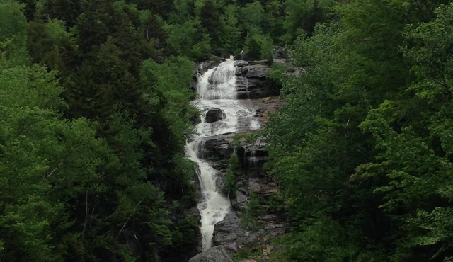 Cozy Chalet! Close to everything! Hiking, Shopping, Storyland & Restaurants!