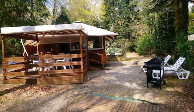 Cozy chalet for 4 people in campsite in Finistère, Brittany with swimming pool.