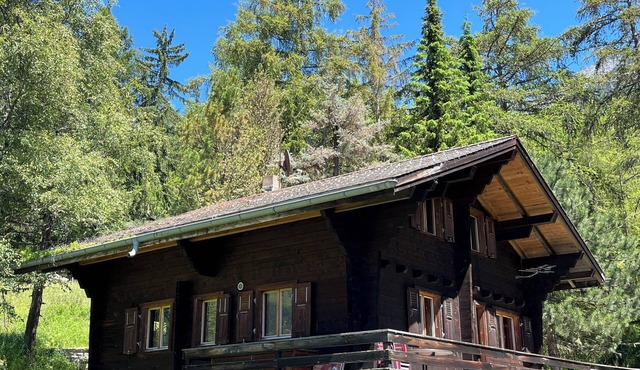 Cozy chalet in the mountains