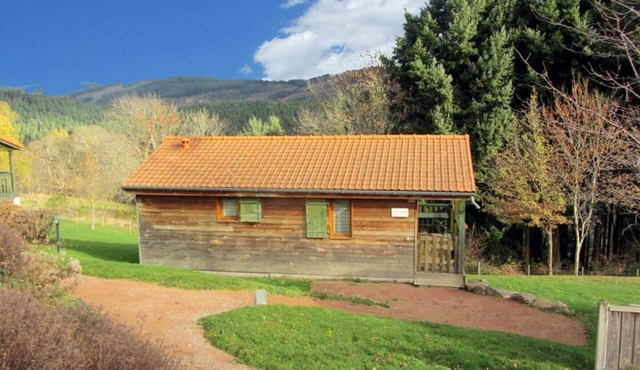 Cozy chalet with private terrace and pets allowed