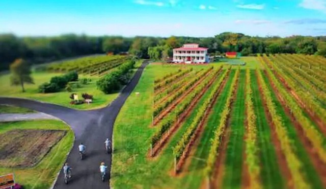 Cozy Chambourcin Cottage at Willow Creek Winery