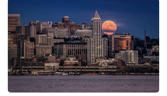 Cozy Charming and Central 1-bedroom apartment in Kent