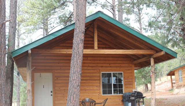 Cozy Clean Cabin next to Lincoln National Forest.