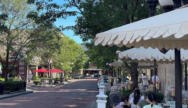 Cozy Coach House - Step Outside to Frank Lloyd Wright Architectural Icons!