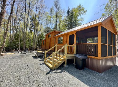 Cozy Coastal Cabin 2