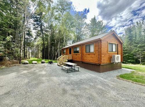 Cozy Coastal Cabin 5
