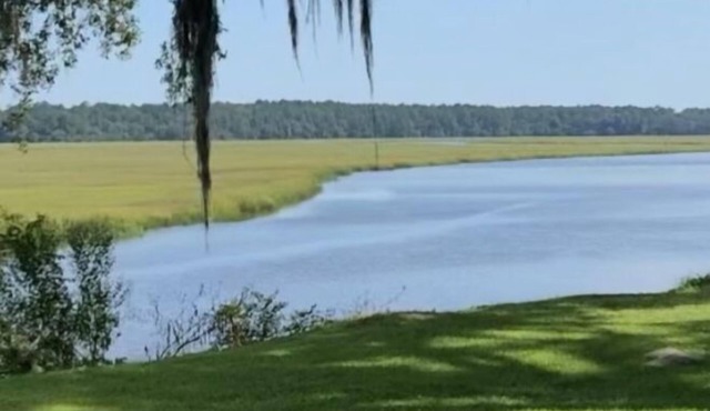 Cozy coastal cottage like studio
