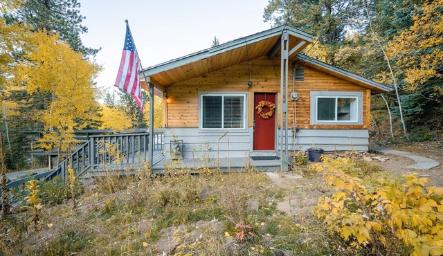 Cozy Colorado Rocky Mountain Cabin