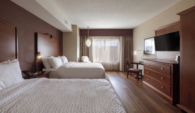 Cozy Comfort and Quiet Luxury in the Heart of the City