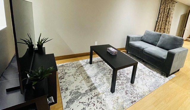 Cozy comfort lower level unit