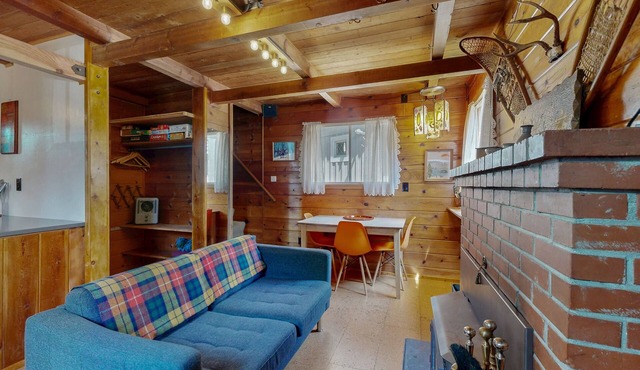 Cozy & comfortable mountain cabin with great Government Camp location