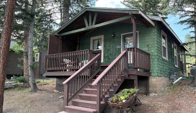 Cozy & Comfortable 1BD Cabin in Nederland ~ Walk to Downtown