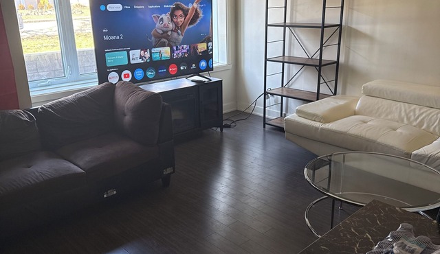 Cozy Condo Brossard 2 Big Rooms