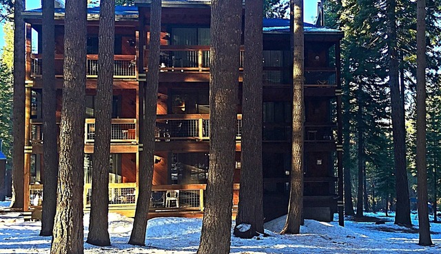 Cozy Condo in a Peaceful Forest Setting, Quick Walk to Village, Pet-Friendly