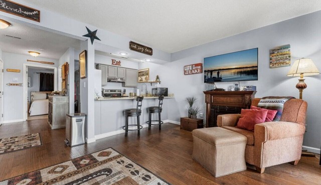 Cozy Condo near SDC and Branson
