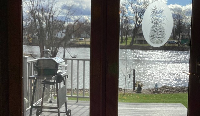 Cozy condo on the Wolf River in New London