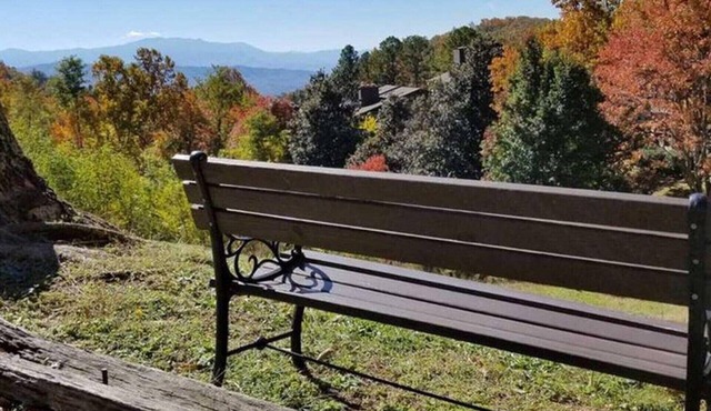 Cozy condo. Serenity on top of Old Smokey About a 40 minute drive to DollyWood