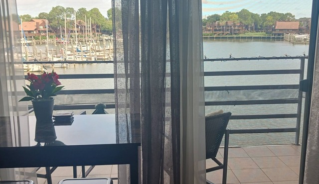 Cozy Condo with amazing views in the heart of League City