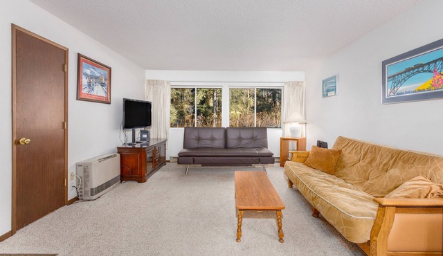 Cozy condo with great downtown location near biking, shopping, dining
