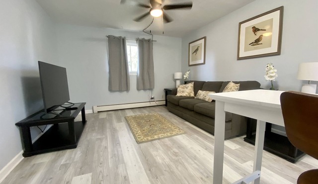 Cozy & Convenient Spacious 1bd Close To ISU