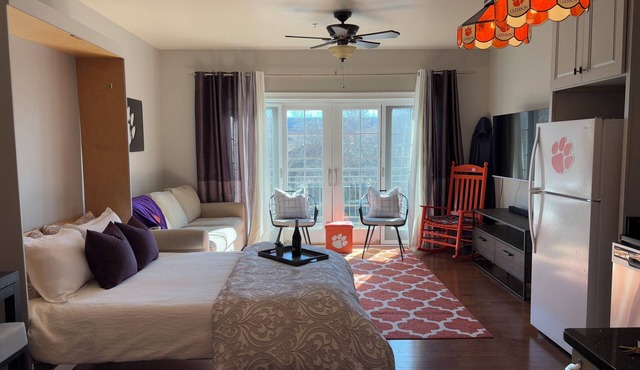 Cozy & convenient studio apartment with a view of Death Valley.