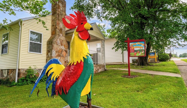 Cozy Coop Cottage | Walk to Downtown Branson