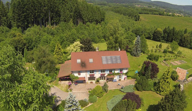 Cozy cottage with private garden near Saint-Dié-des-Vosges
