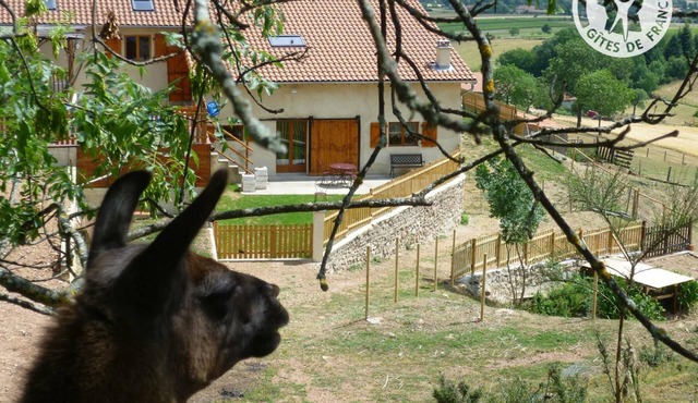 Cozy cottage with spa and sauna, pets allowed