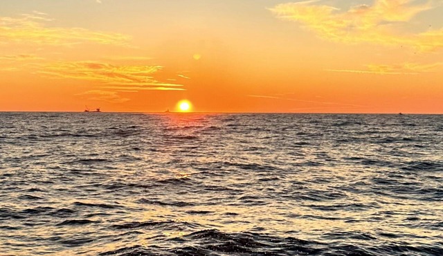 Cozy cottage near beach